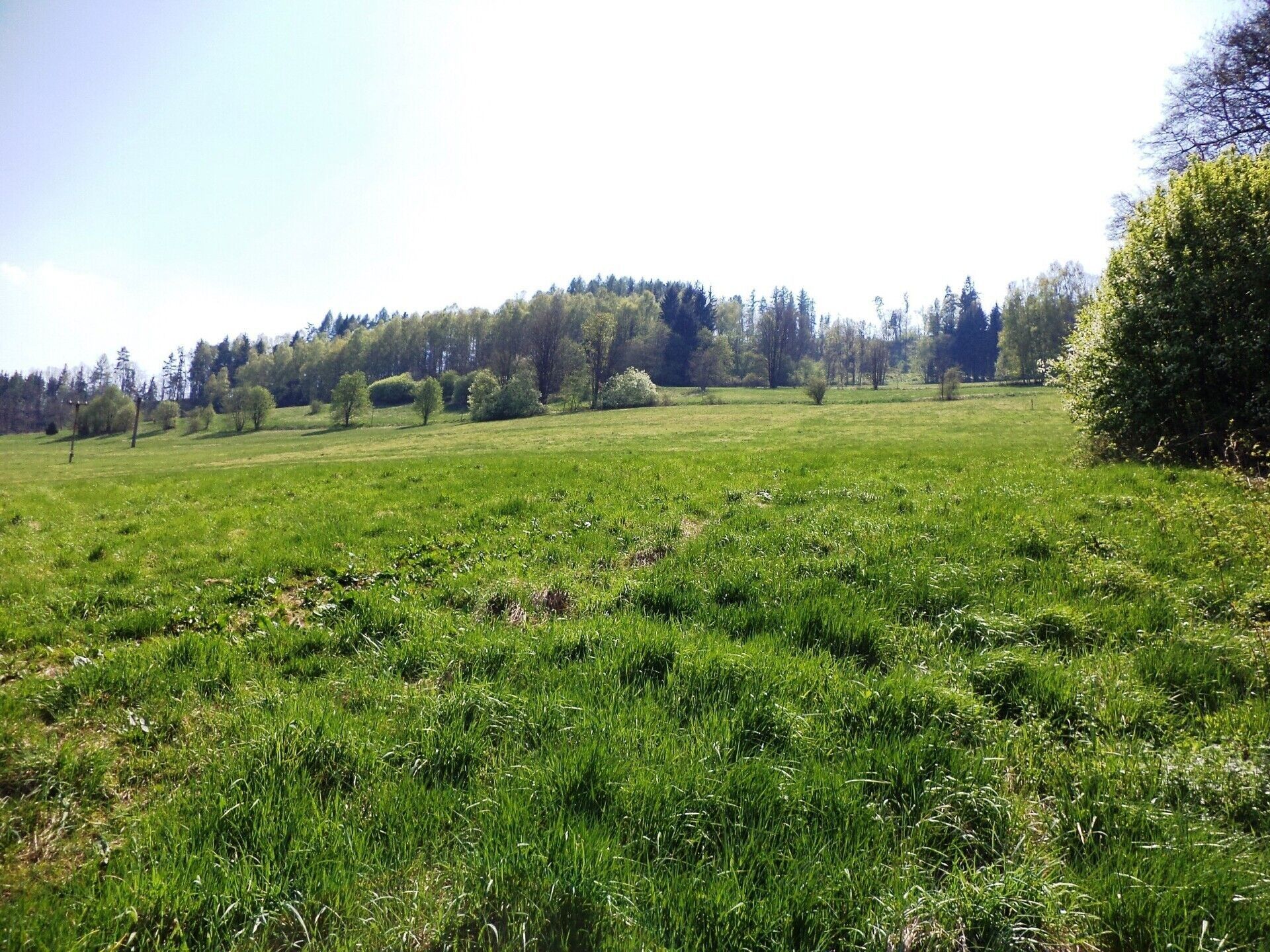 Zemědělské pozemky, Semily, 34 m²