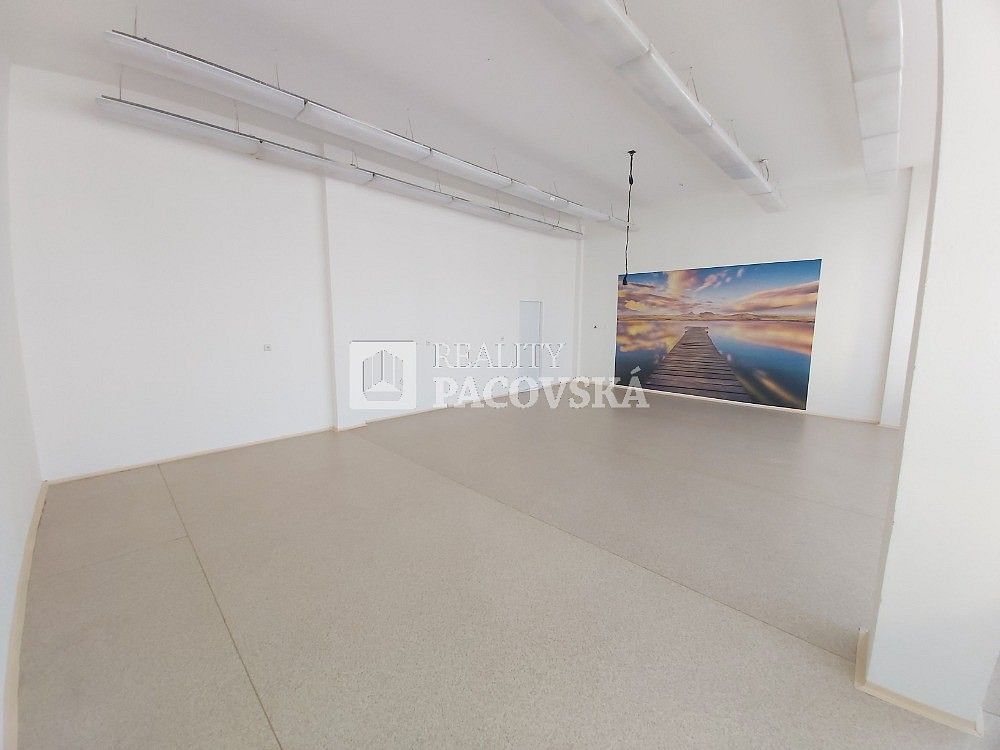 Pronájem obchodní prostory - Ústí nad Labem - Ústí nad Labem-centrum, Ústecký kraj, 787,2 m² - 5