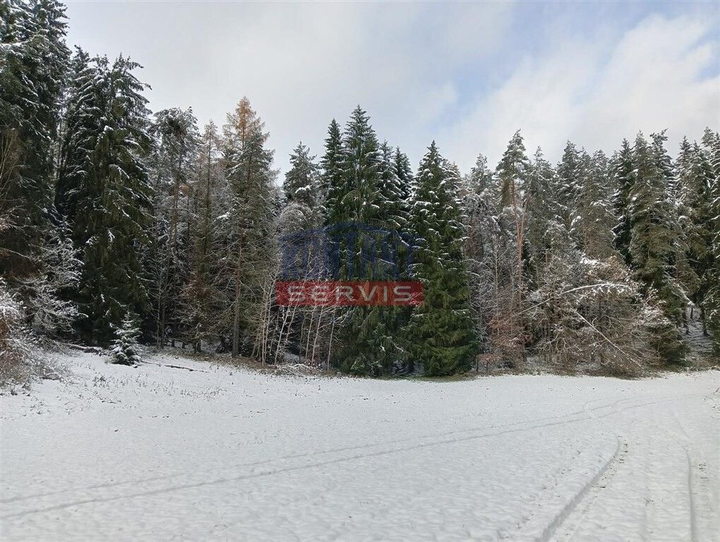 Prodej les - Horní Bukovina, 14 776 m²