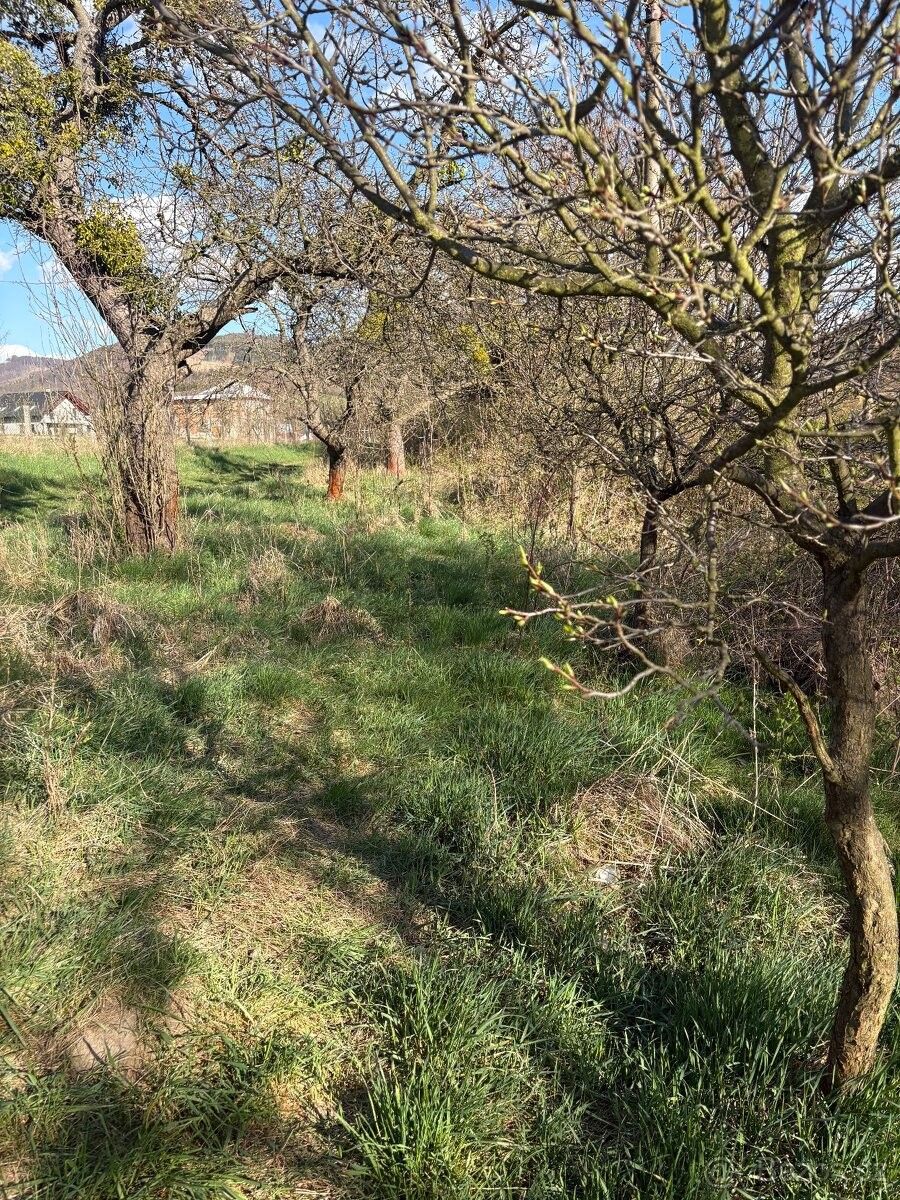 Zahrady, Hradec Králové, 503 01