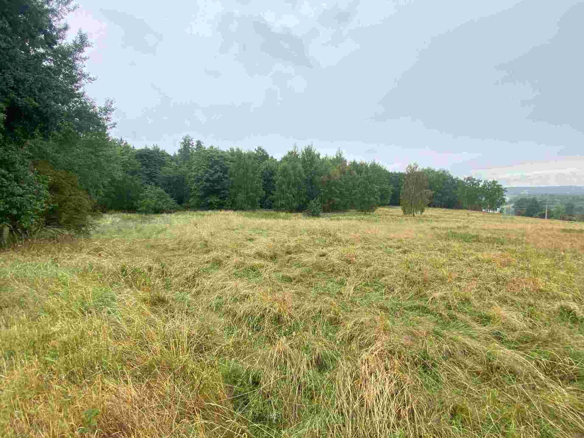 Zemědělský pozemek · 49 321 m² · Nové Sedlo Loučky - 3