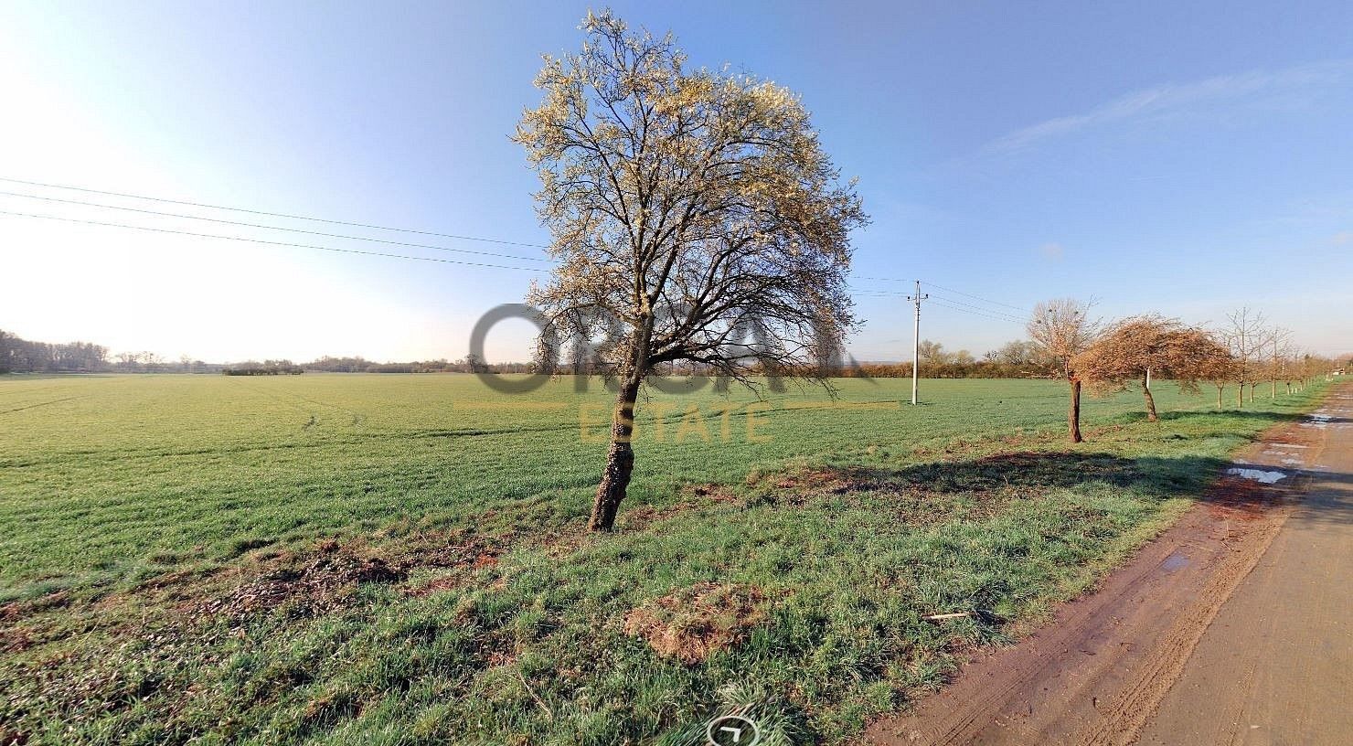 Zemědělský pozemek · Hulín, okres Kroměříž, Zlínský kraj - 3