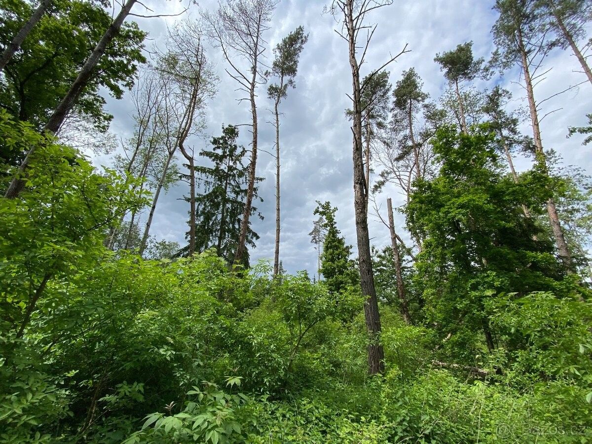 Prodej pozemek pro bydlení - Horšovský Týn, 346 01
