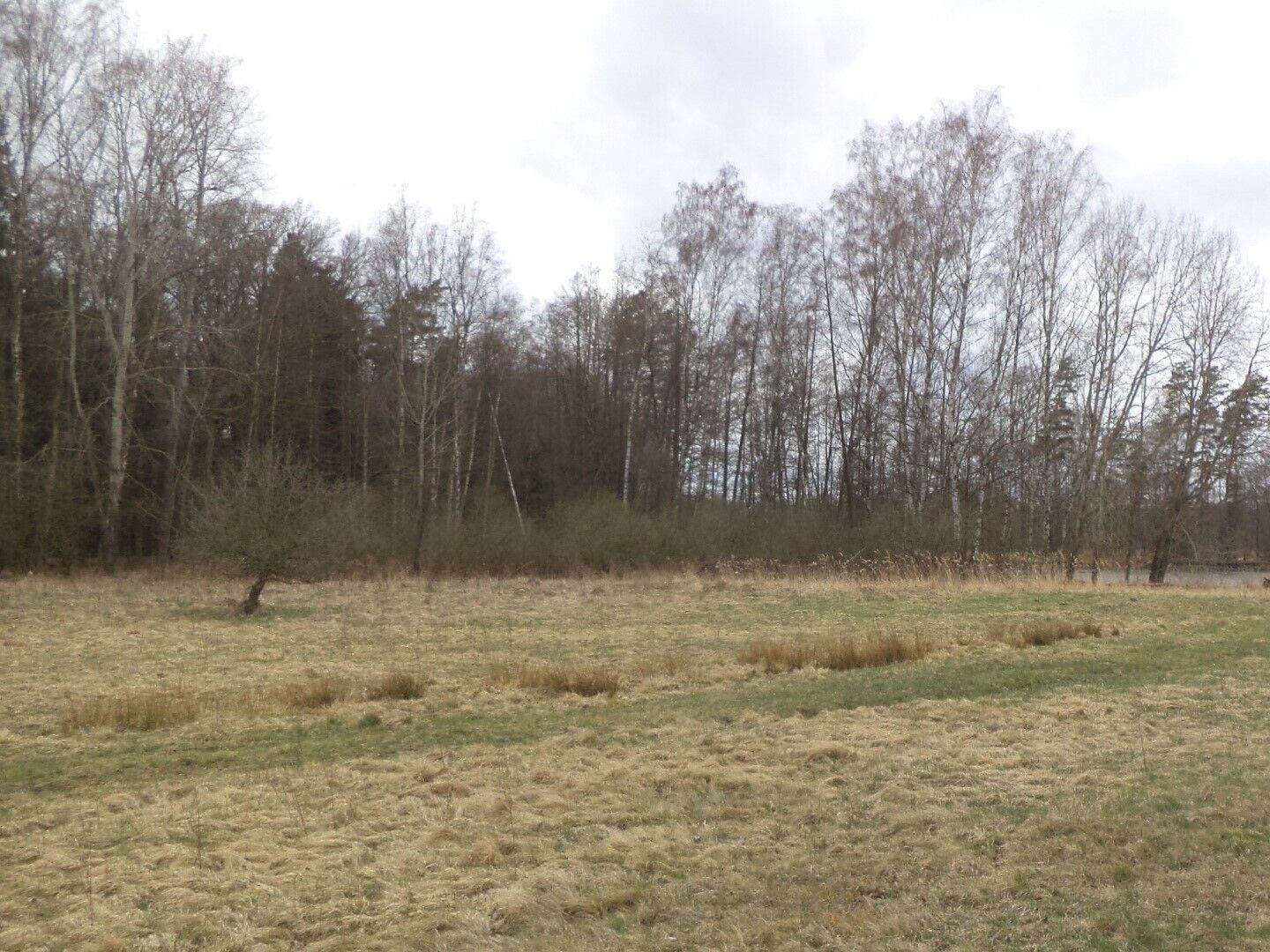 Louka · 6 727 m² · Chlum u Třeboně Lutová - 3