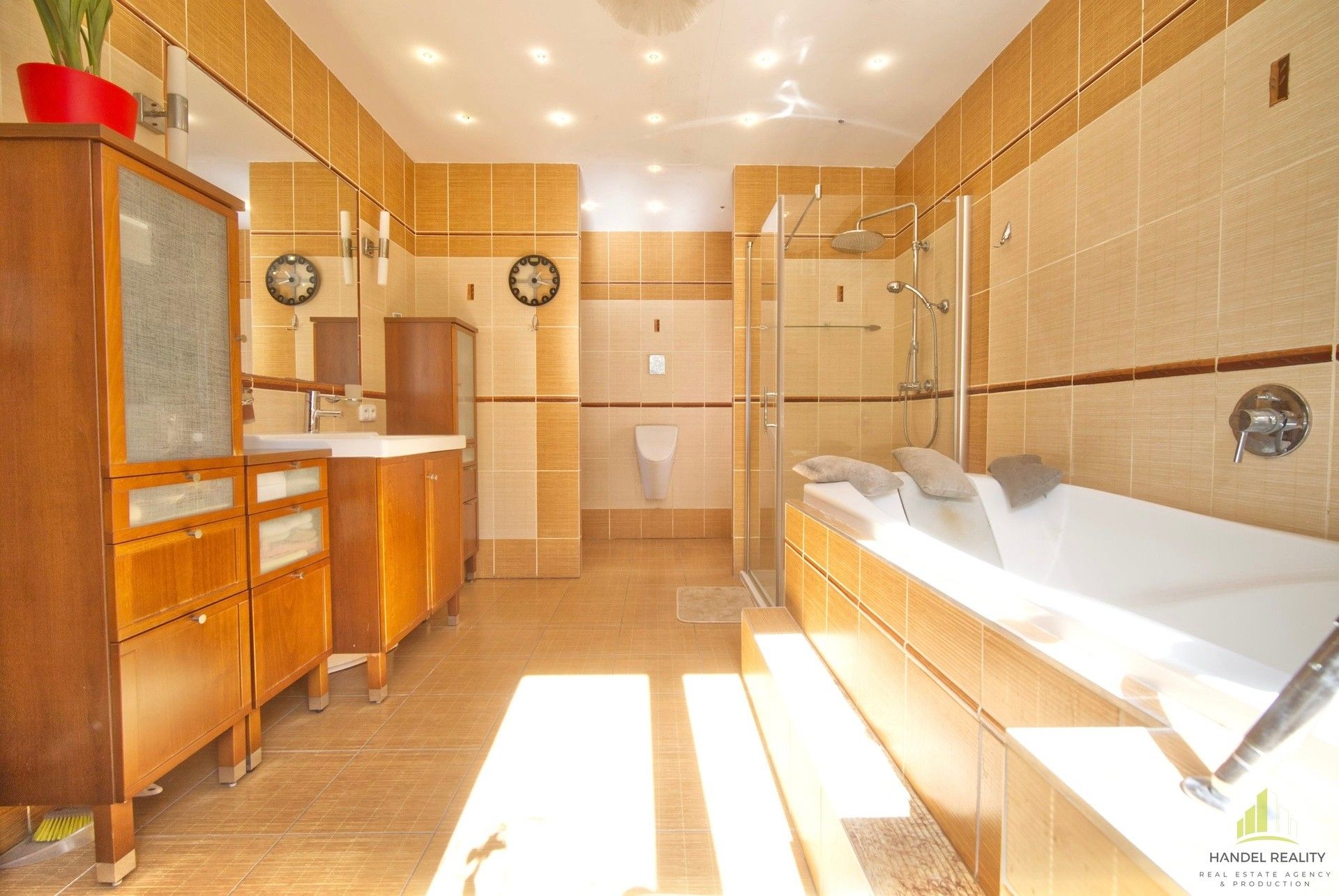 Vila · 327 m² · Jana Nečase, Brno Žabovřesky - 4
