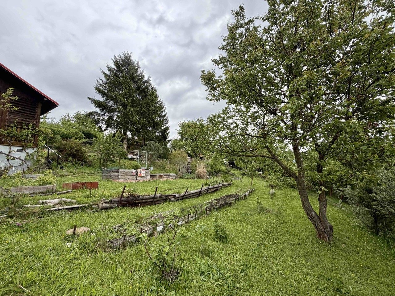 Zahrady, Děčín IV-Podmokly, 476 m² - 1