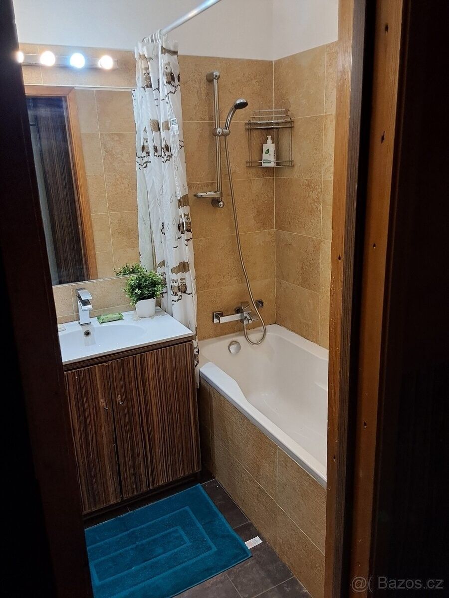 Pronájem byt - Ostrava, 710 00