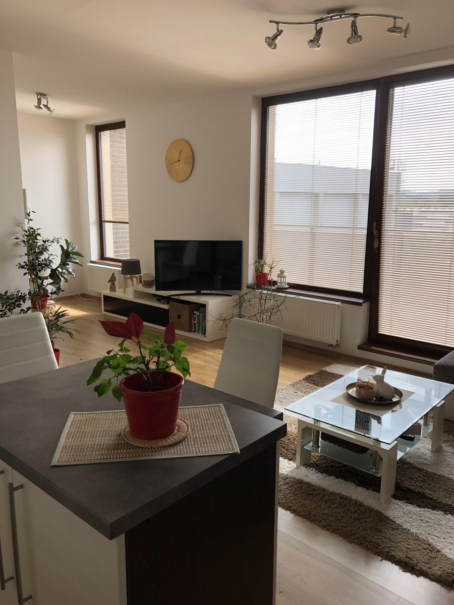 2+kk, K Pazderně, Benešov - Benešov u Prahy, Středočeský kraj, 60 m² - 2
