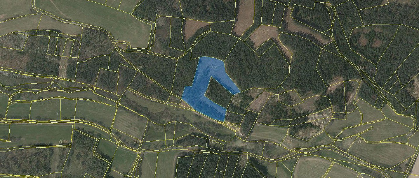 Lesy, Přechovice, okres Strakonice, Jihočeský kraj - 2