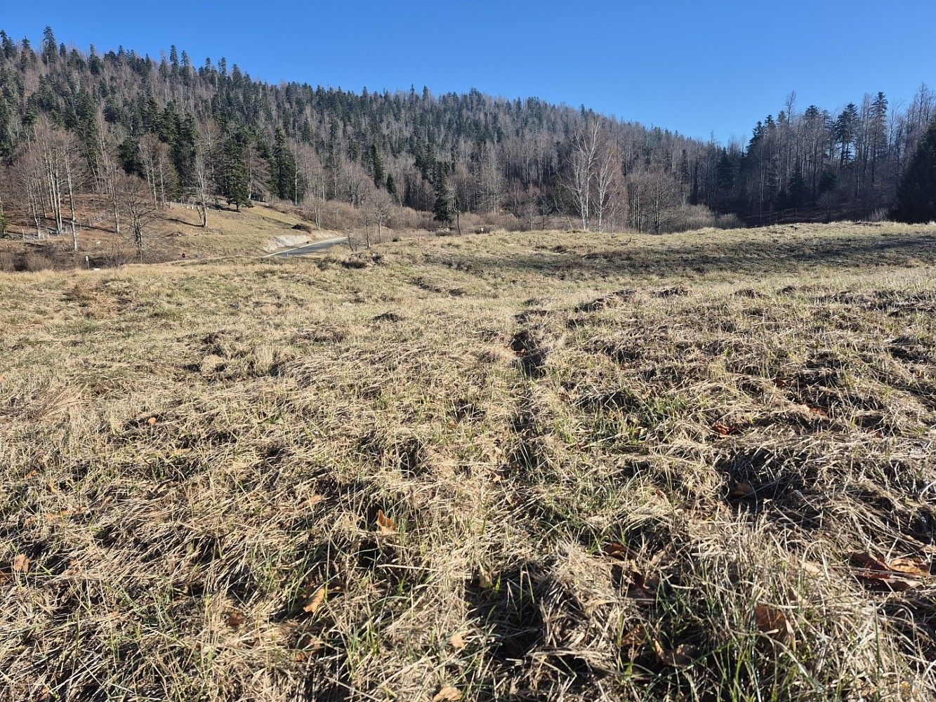 Pozemek pro bydlení, 1 297 m²