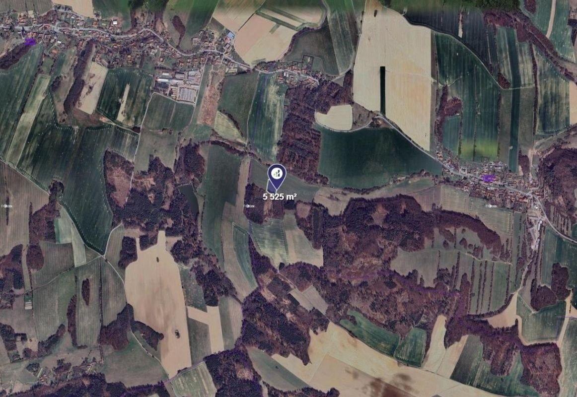 Prodej zemědělský pozemek - Ludmírov - 2