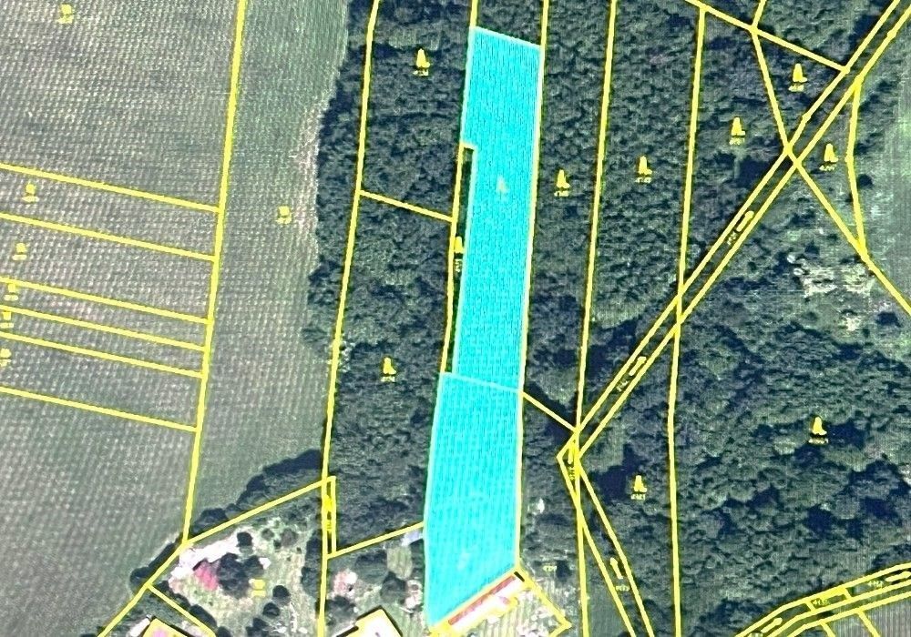 Prodej les - Klenčí pod Čerchovem - 2