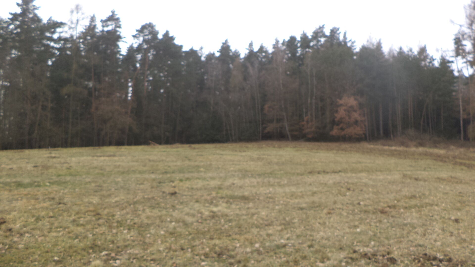 Zemědělský pozemek · 9 983 m² · Zvěstov Bořkovice - 3