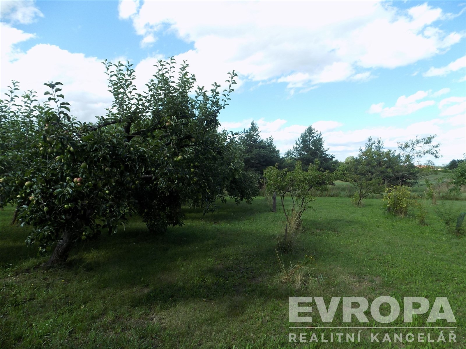 Prodej zahrada - Bělušice - 5