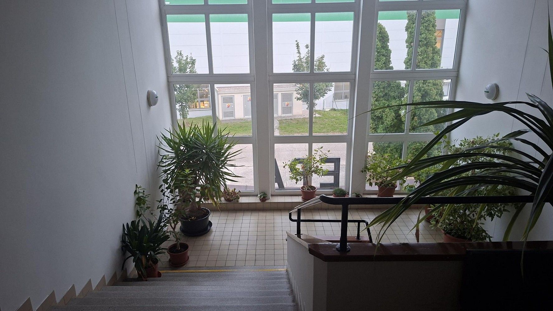 Pronájem kancelář - Podnikatelská, Praha 9 - Běchovice, 24 m² - 5