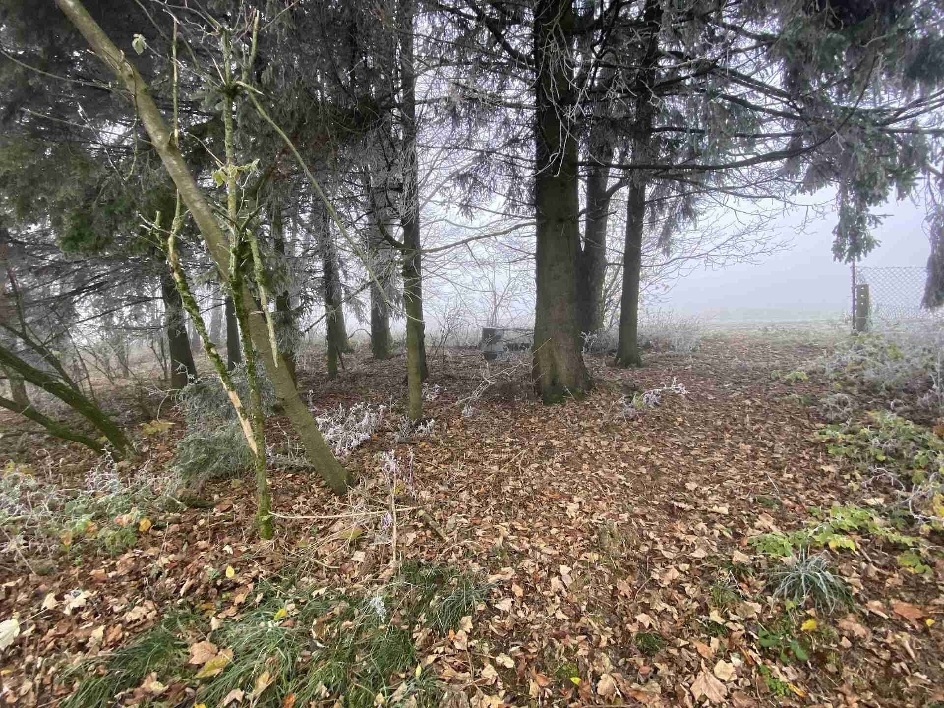 Prodej pozemek pro bydlení - Albrechtice u u, Frýdlant, 2 m²