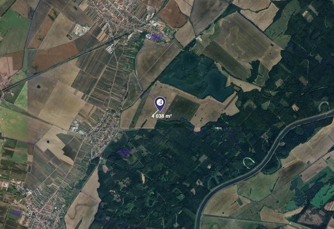 Zemědělské pozemky, Týnec, 4 038 m² - 2