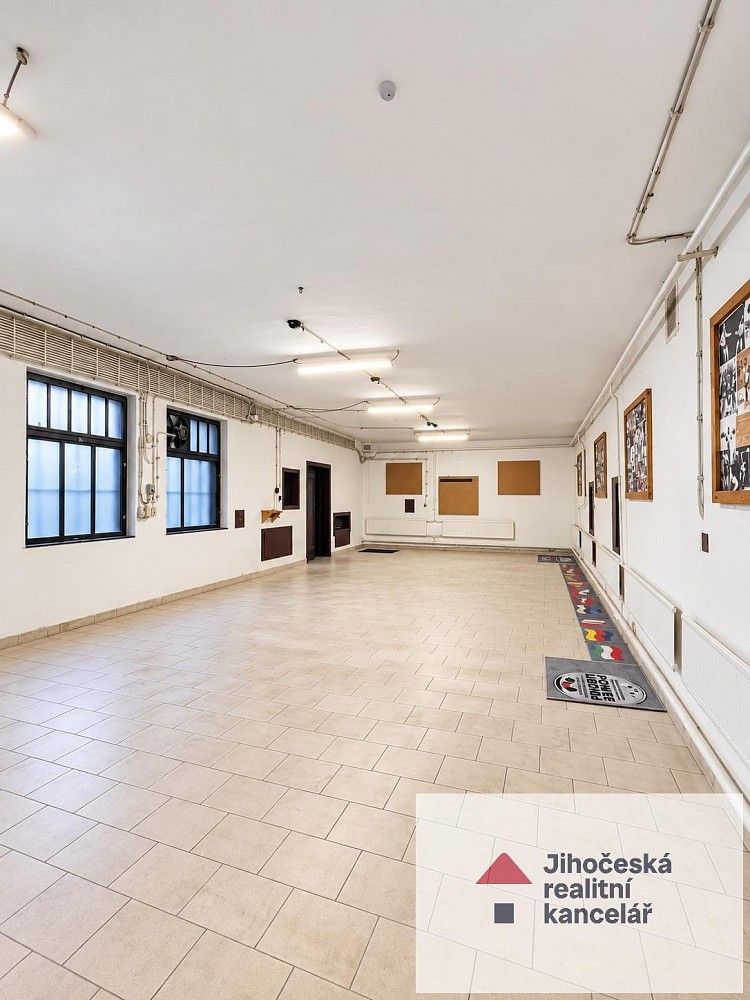 Obchodní prostory, Ledenická, České Budějovice - České Budějovice 5, 170 m² - 2