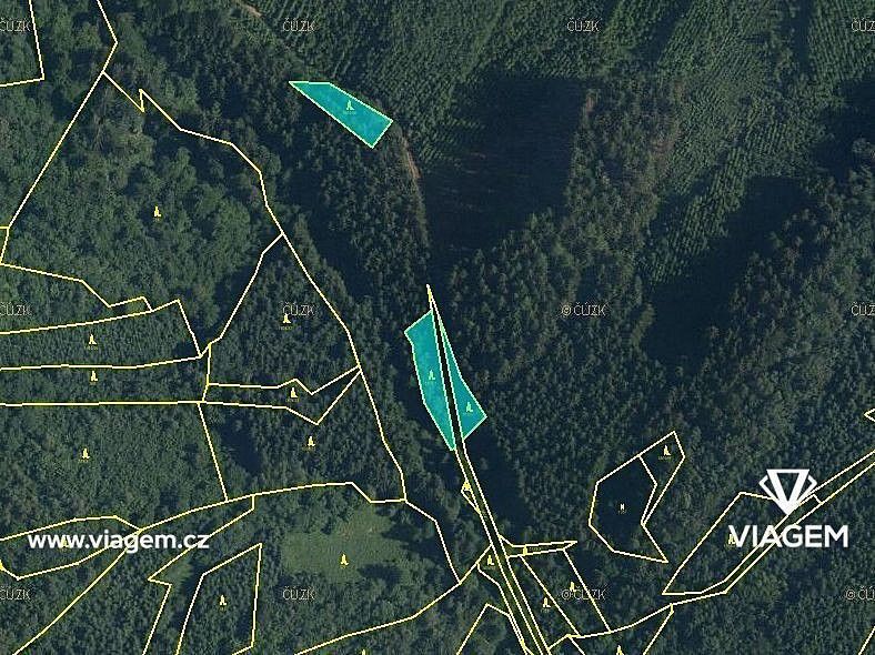 Prodej les - Lužná, okres Vsetín, Zlínský kraj - 2