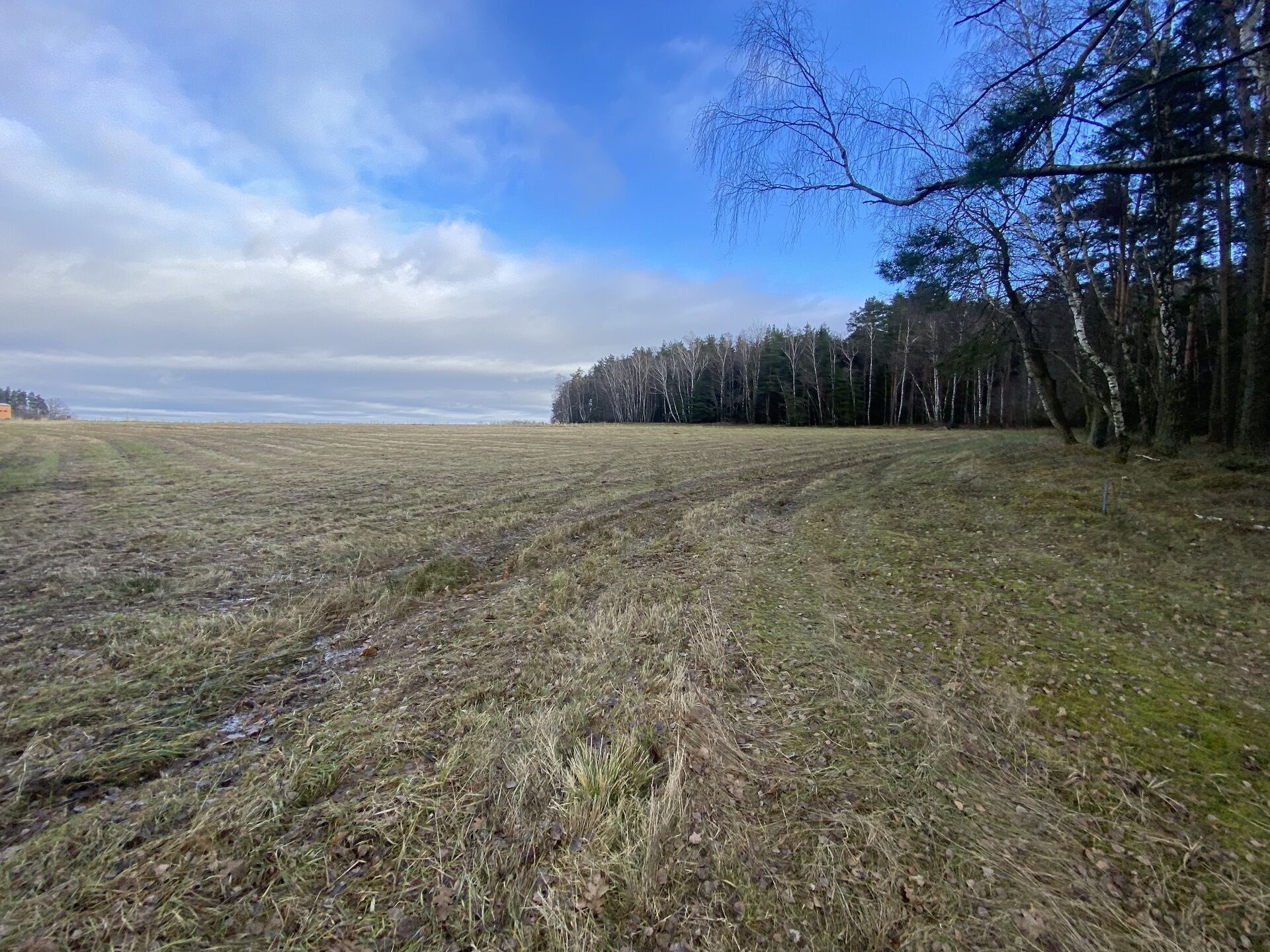 Pozemek · 11 526 m² · Kaplice Pořešín - 4