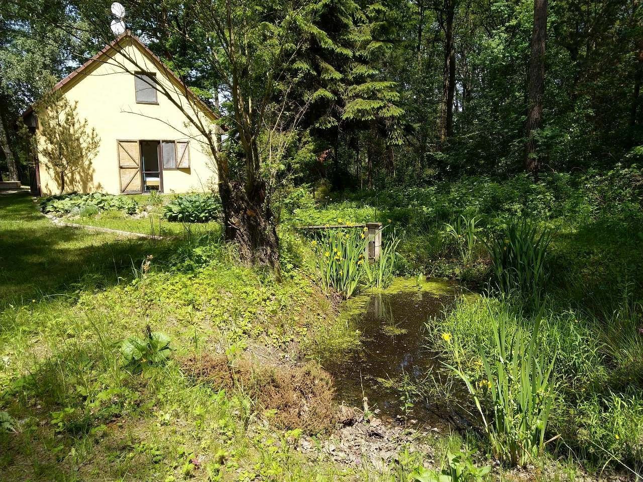 Chata · Hůrky u Lišova, Jihočeský kraj - 3
