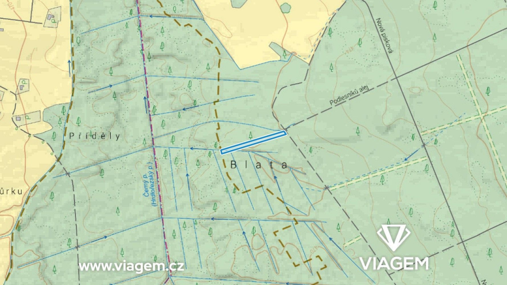 Les · Dvory nad Lužnicí, okres Jindřichův Hradec - 3