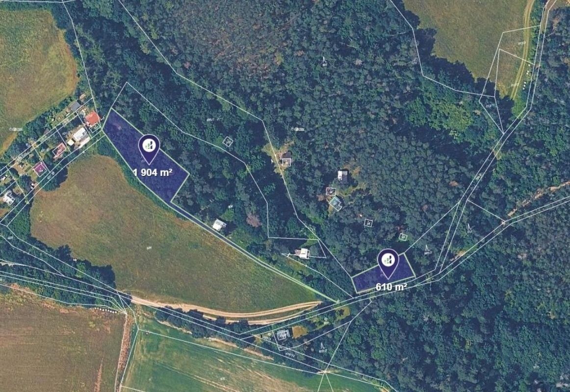 Lesy, Bojanovice, 48 389 m² - 2