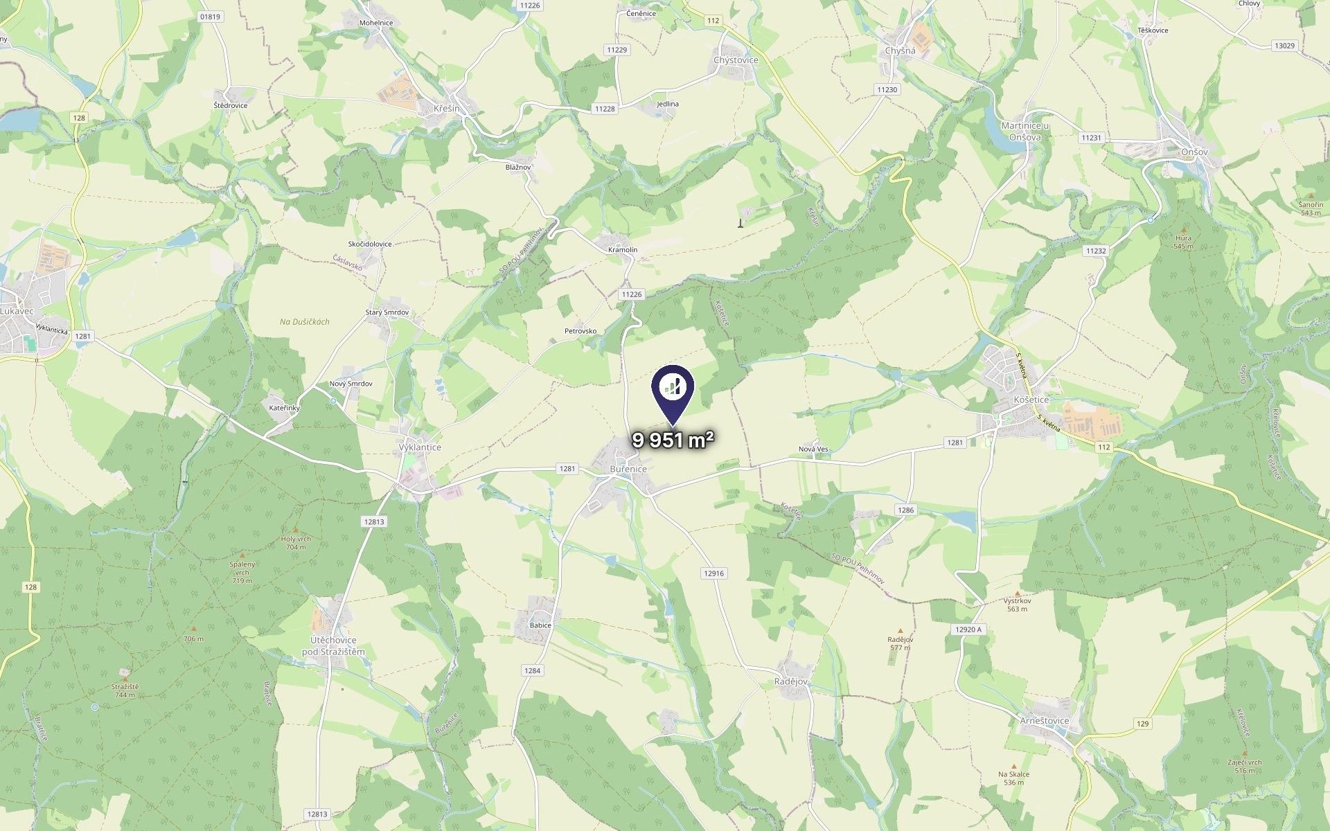 Zemědělský pozemek · 9 951 m² · Buřenice - 3