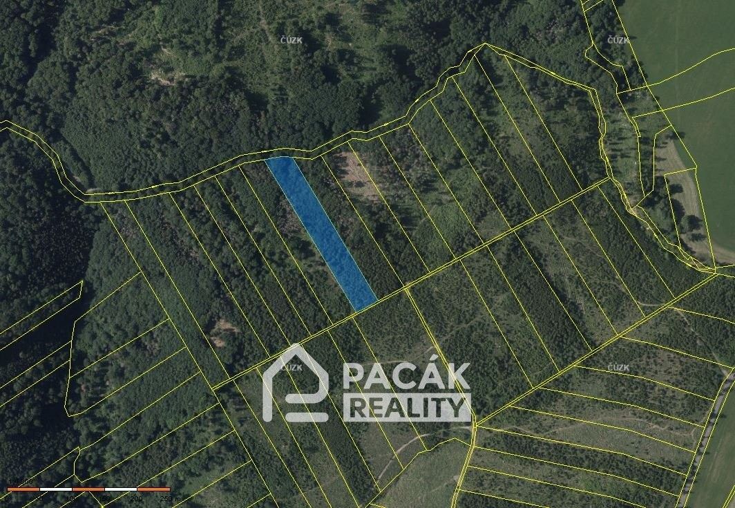 Prodej les - Dolany, 41 845 m²