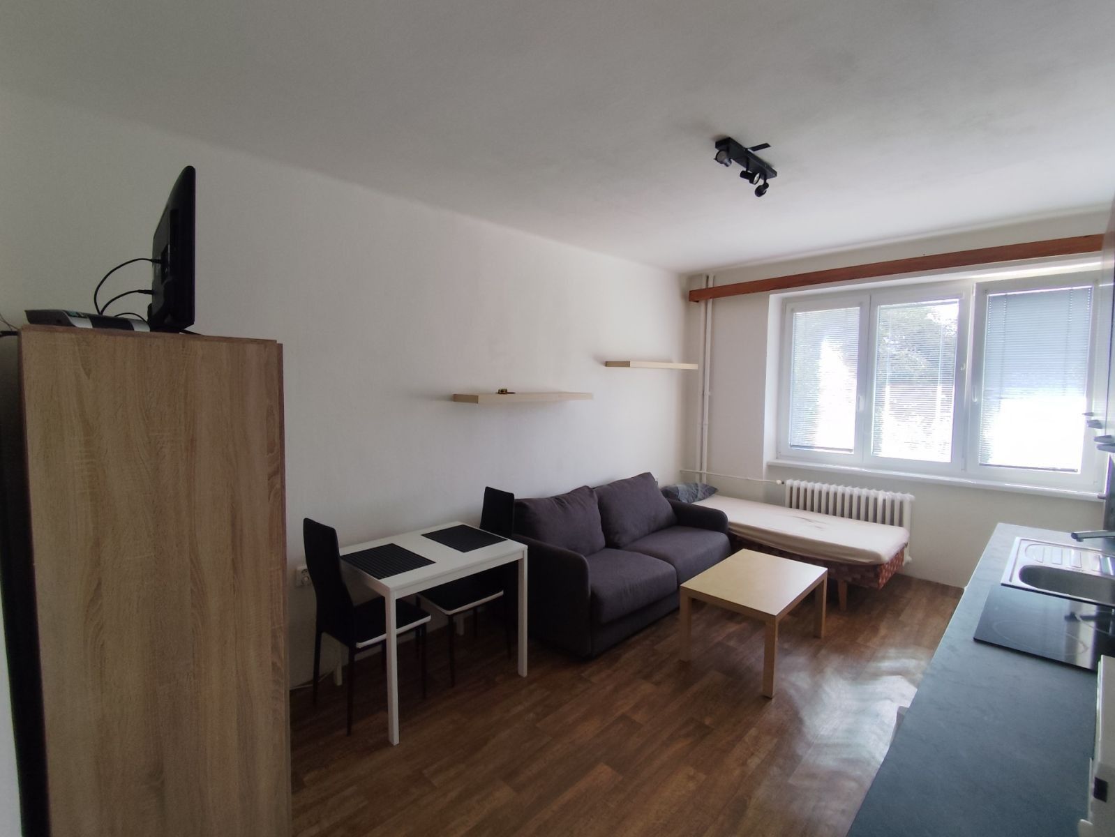 1+kk, Rychtaříkova, Plzeň - Plzeň, Plzeňský kraj, 29 m² - 2