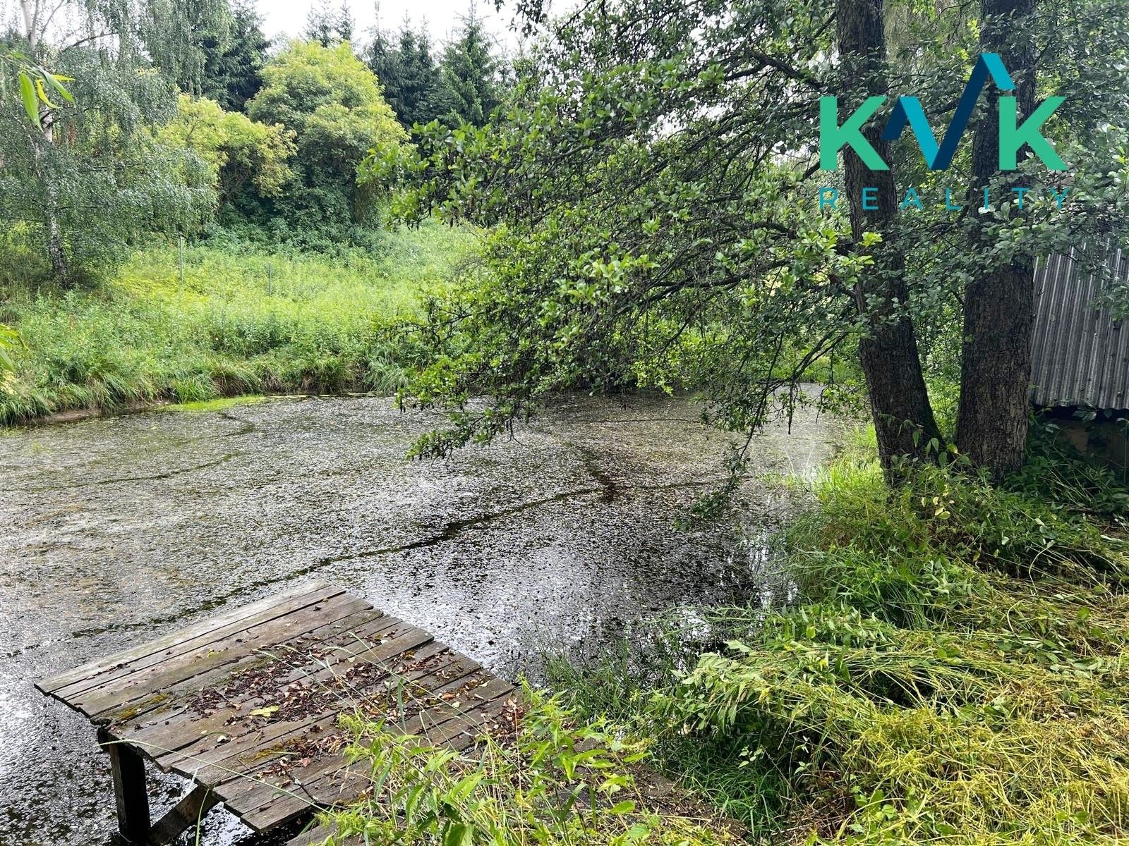 Pronájem zahrada - Sadov, 3 000 m² - 5