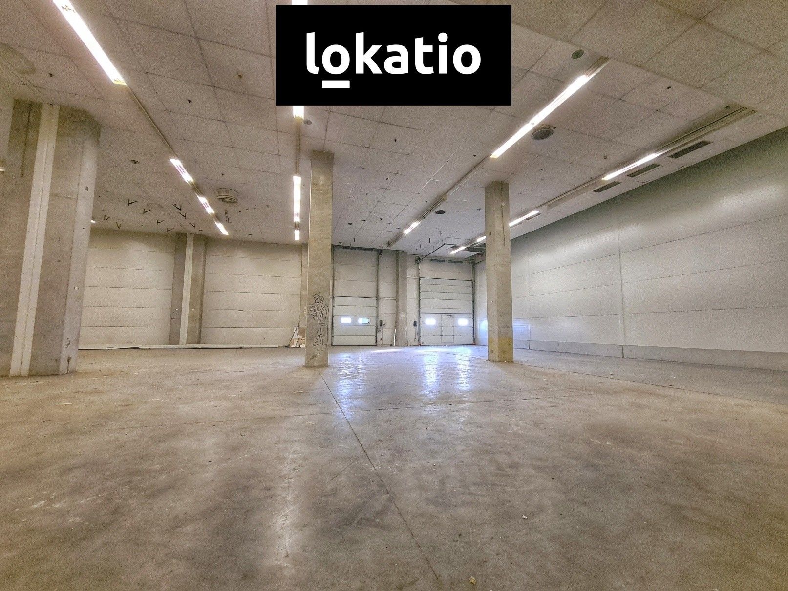 Sklad · 1 579 m² · Hranice - 4