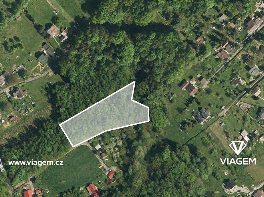 Lesy, Orlová, okres Karviná, Moravskoslezský kraj