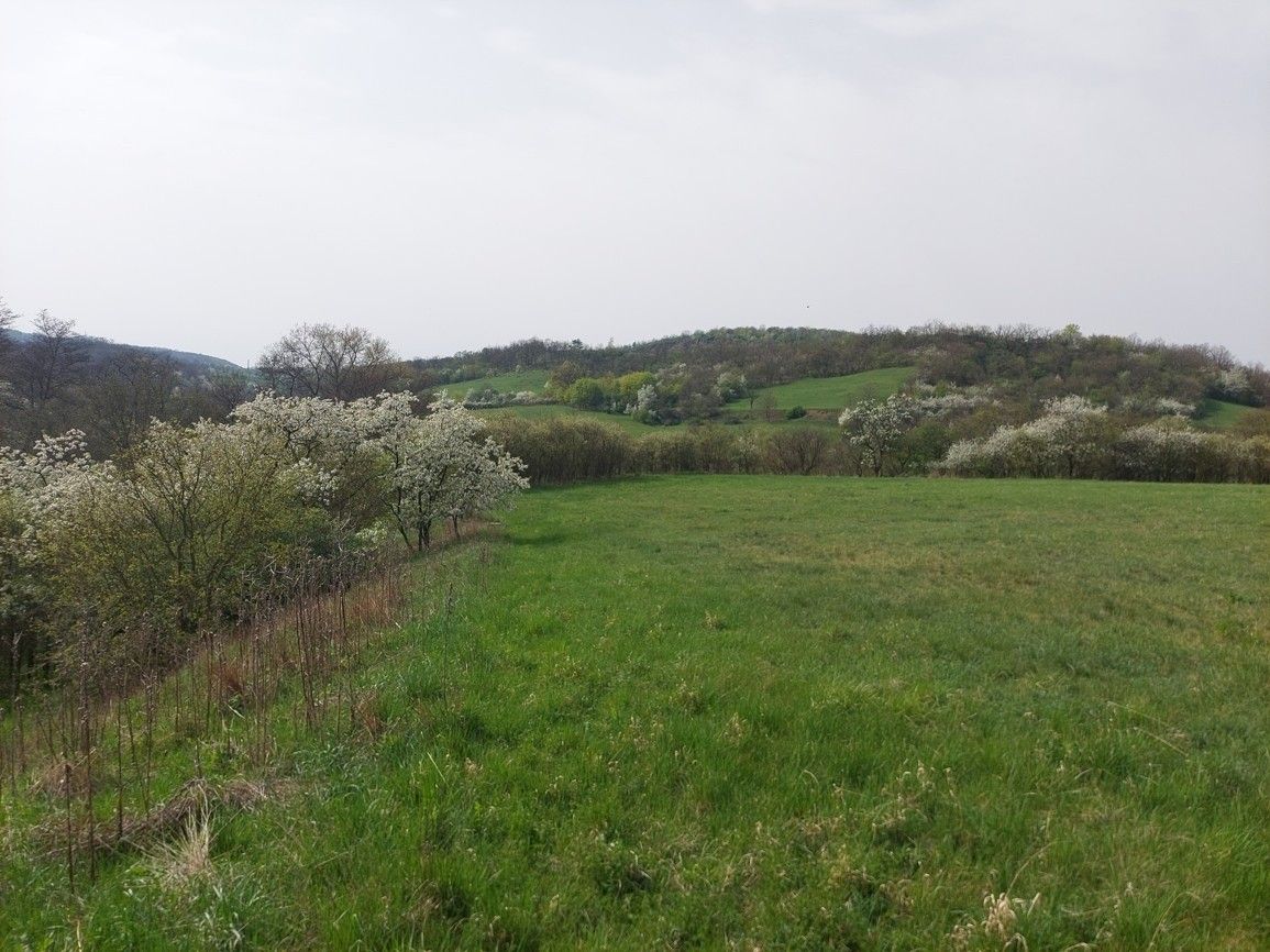 Prodej pozemek pro bydlení - Teplice, 415 01