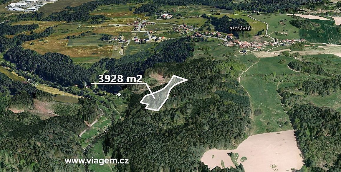 Prodej les - Petráveč, okres Žďár nad Sázavou, Kraj Vysočina - 2