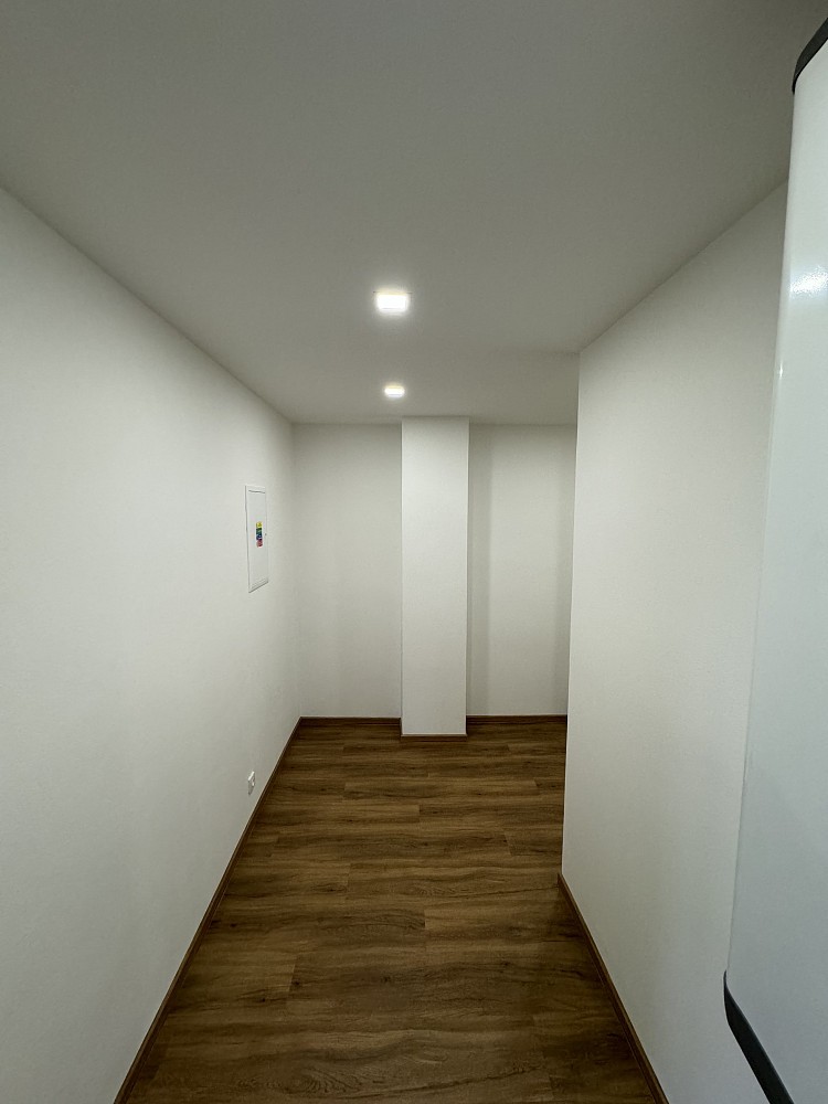 Byt 2+1 · 55 m² · I. Olbrachta, Hodonín - 3