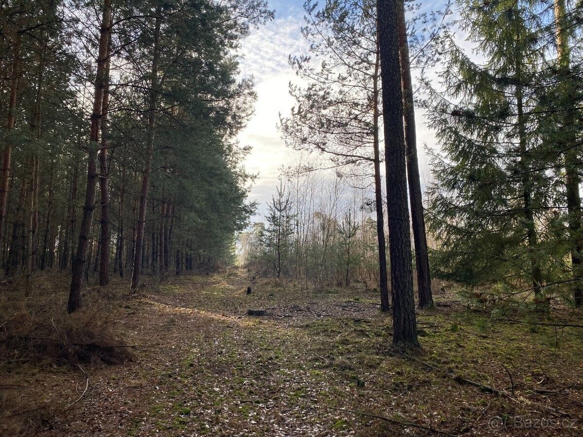 Prodej pozemek pro bydlení - Holice v Čechách, 534 01