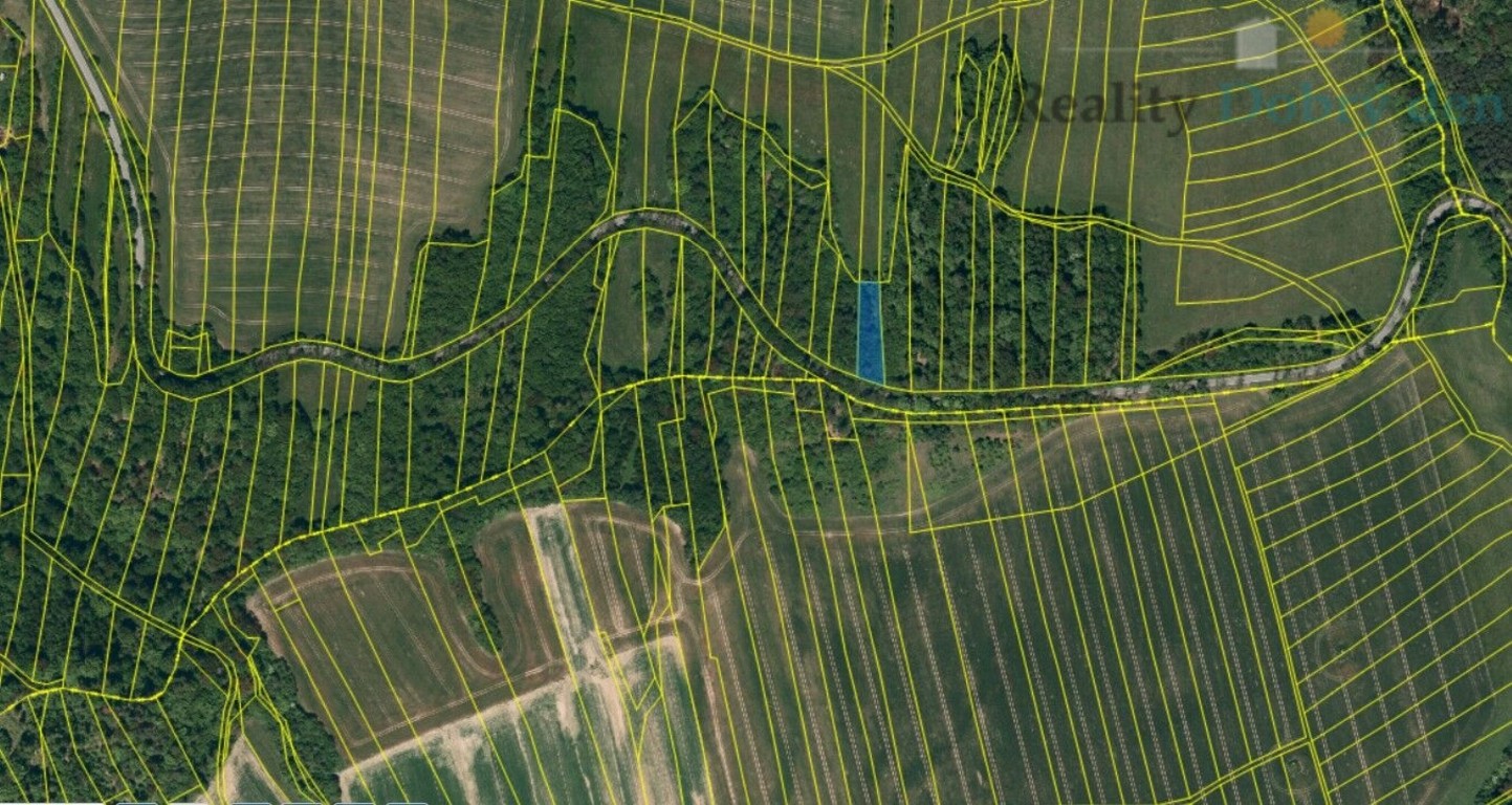 Les, 9 624 m²