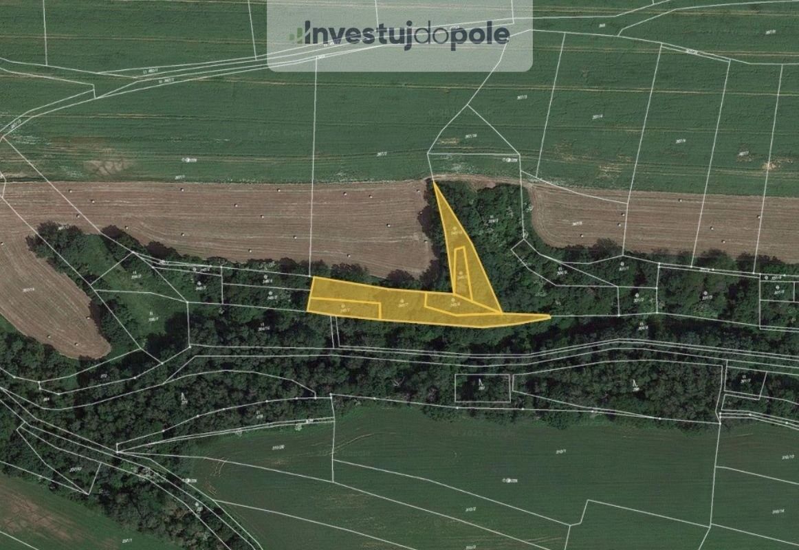 Prodej pozemek - Mšeno u Mělníka, 277 35, 3 328 m²