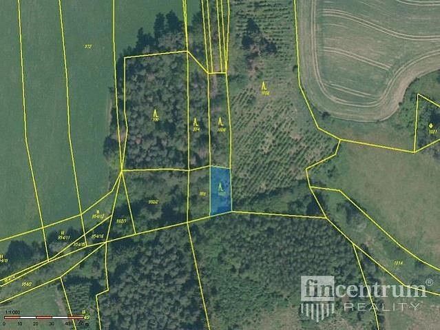 Prodej les - Radkov, okres Jihlava, Kraj Vysočina - 5