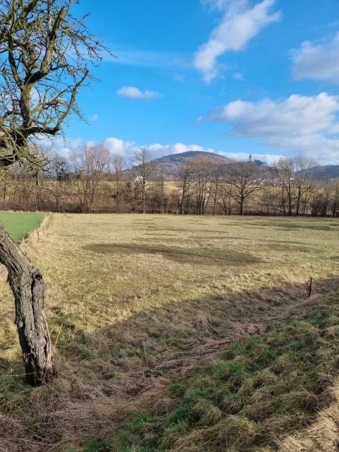 Zahrada · 800 m² · Náměstí, Štramberk - 3