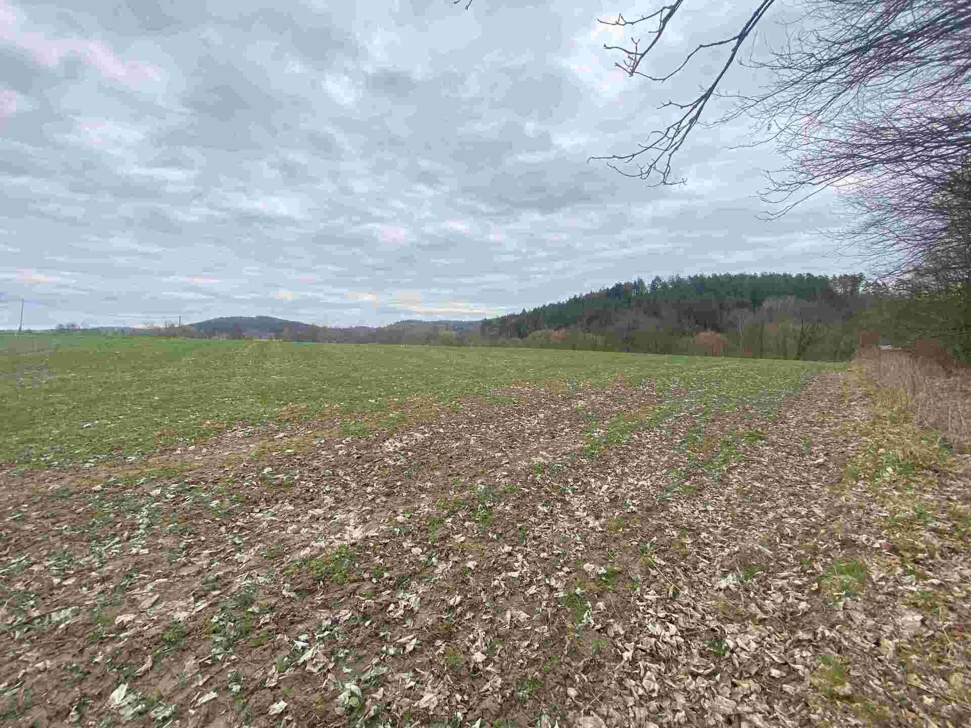 Ostatní, Žinkovy, 4 837 m² - 2
