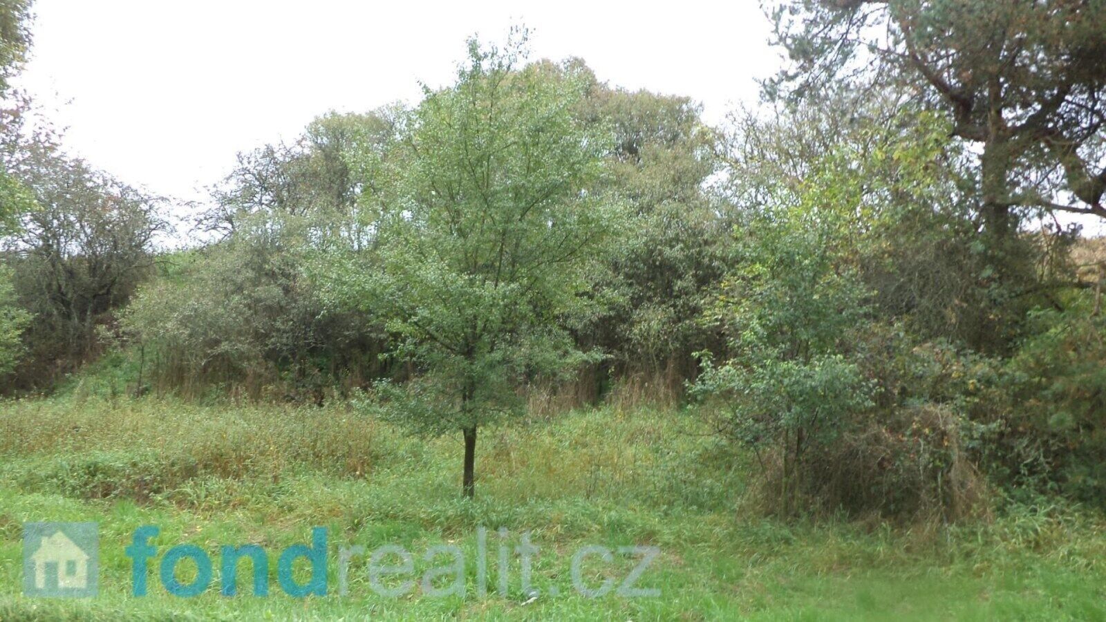 Pozemek · 3 639 m² · Písečné - 3