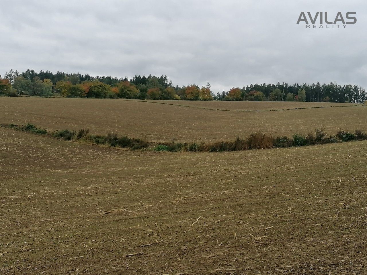 Prodej zemědělský pozemek - Krasovice, Kondrac, 47 058 m² - 2