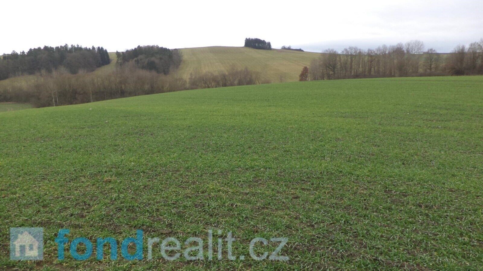 Zemědělský pozemek · 12 056 m² · Srby - 3