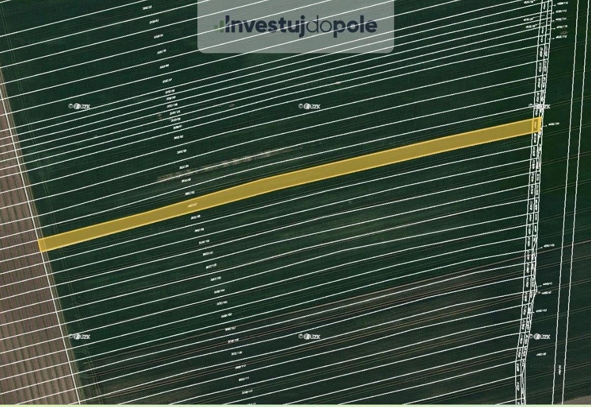 Prodej zemědělský pozemek - Čejkovice