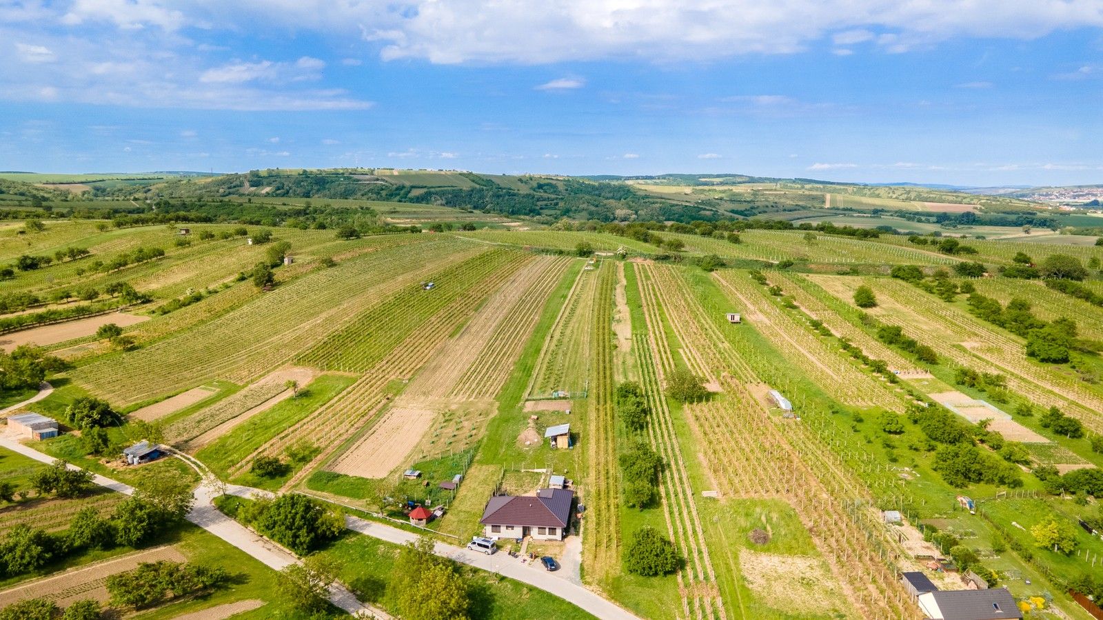 Pozemek pro bydlení · 1 528 m² · Zelnice, Velké Pavlovice - 4