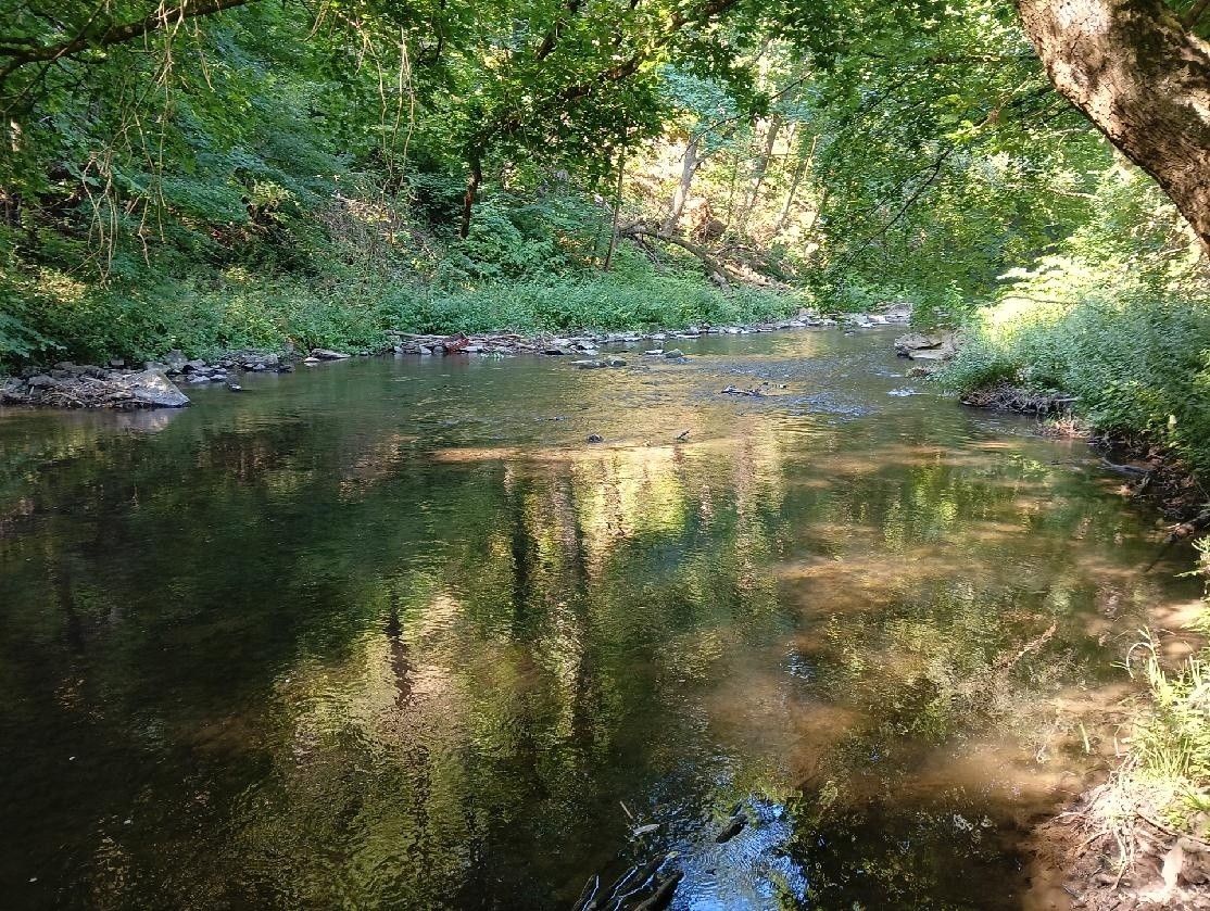 Pozemek pro bydlení · Bílovice nad Svitavou, 664 01 - 3