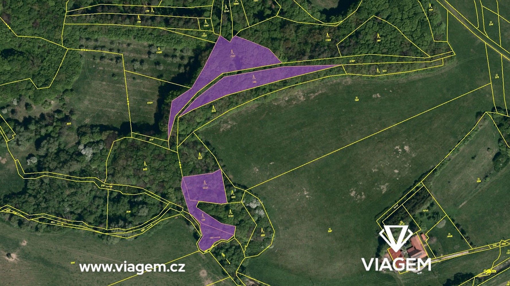Les · Bohuslavice nad Vláří, okres Zlín, Zlínský kraj - 4