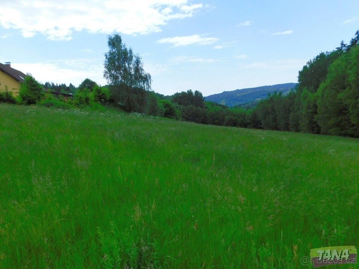 Prodej louka - Semily, 513 01, 12 565 m²